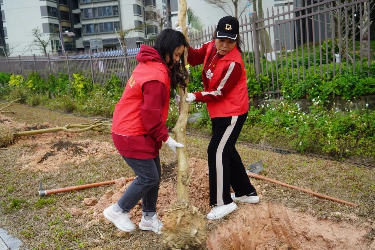 培养生态意识，传承绿色文化‖珠海新盈学校植树活动
