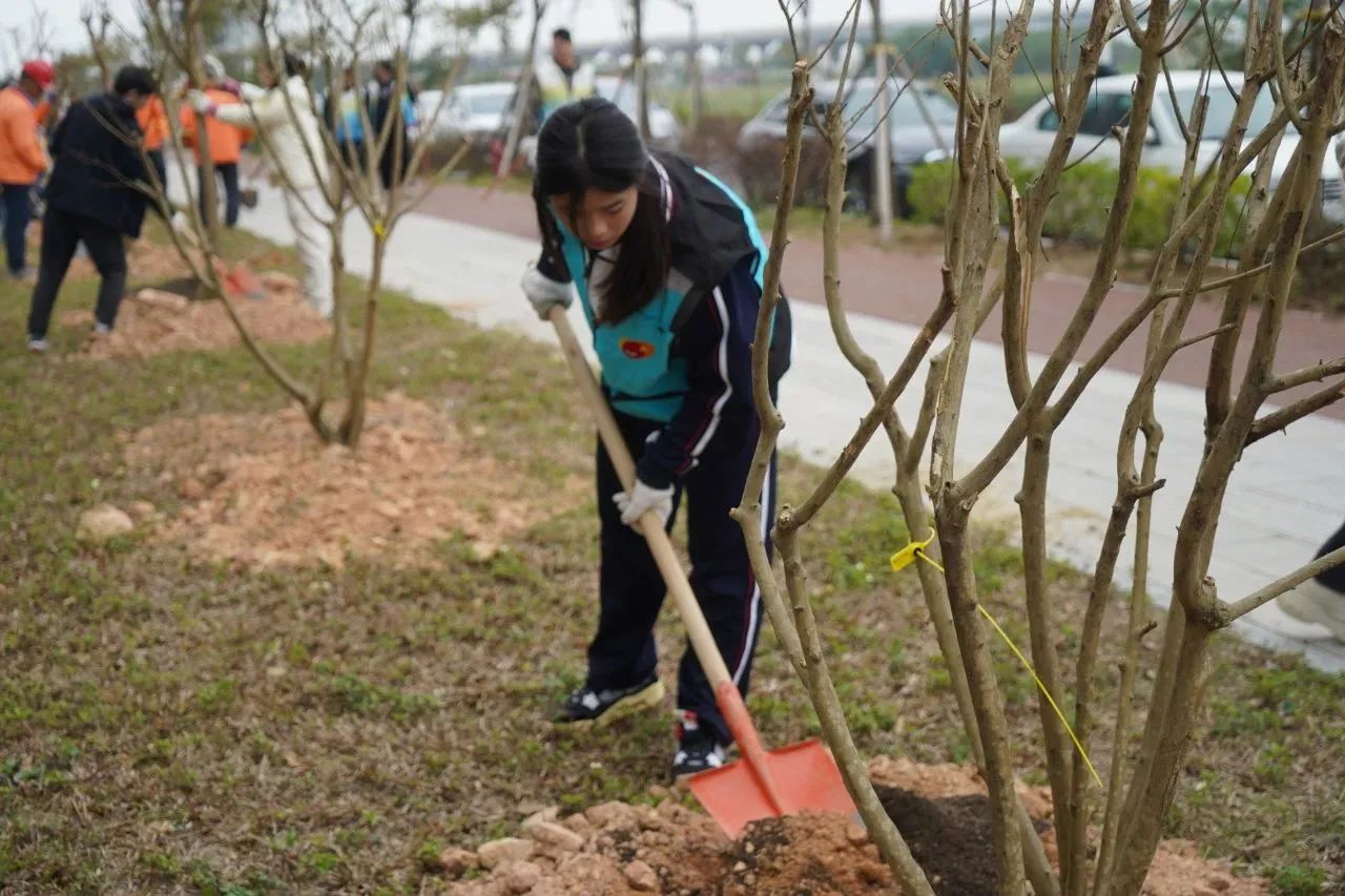 培养生态意识，传承绿色文化‖珠海新盈学校植树活动