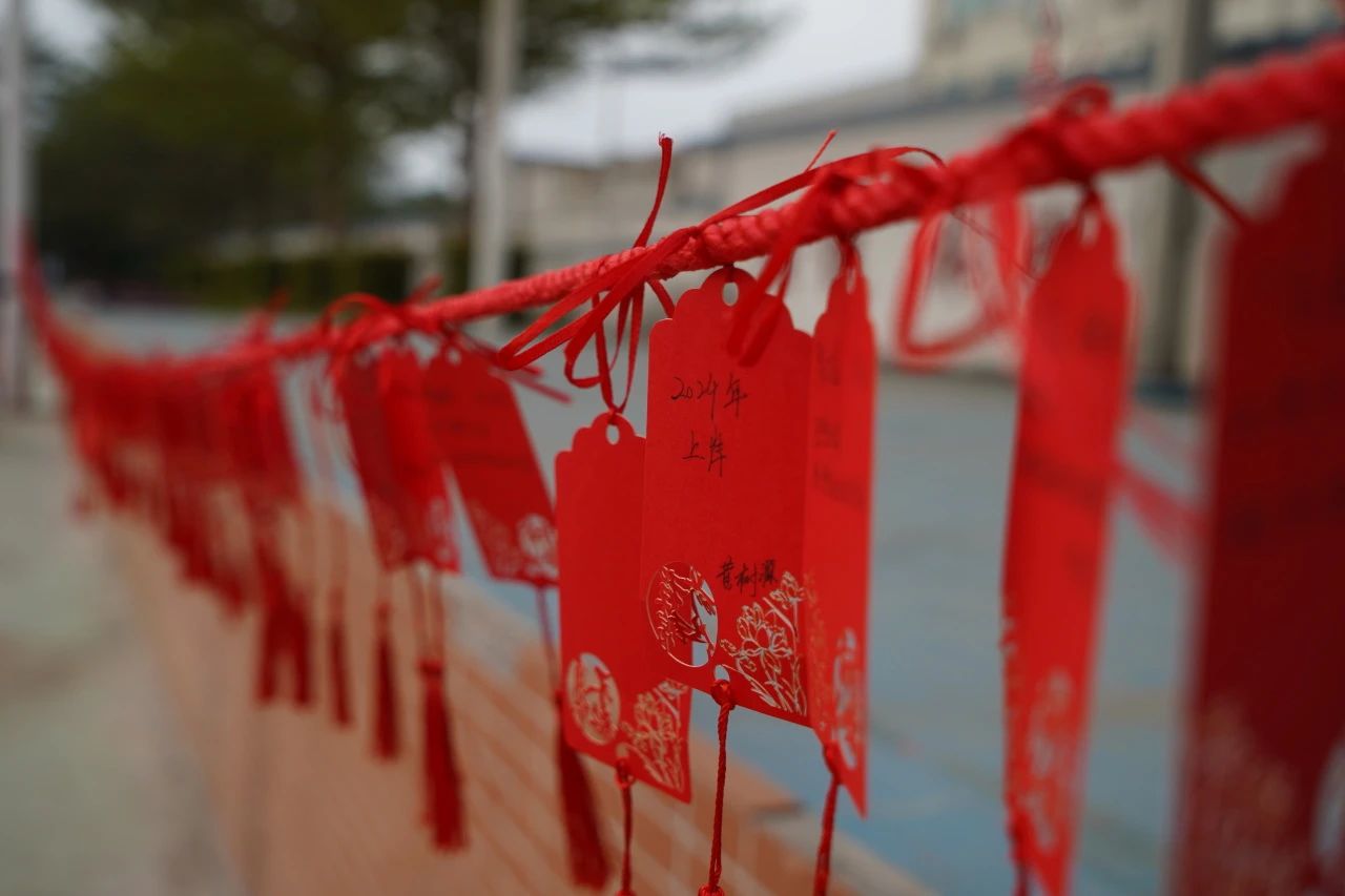 赛场争雄，荣耀绽放！——珠海新盈学校2024年253名少年王者逐梦前行，迎战高职高考！