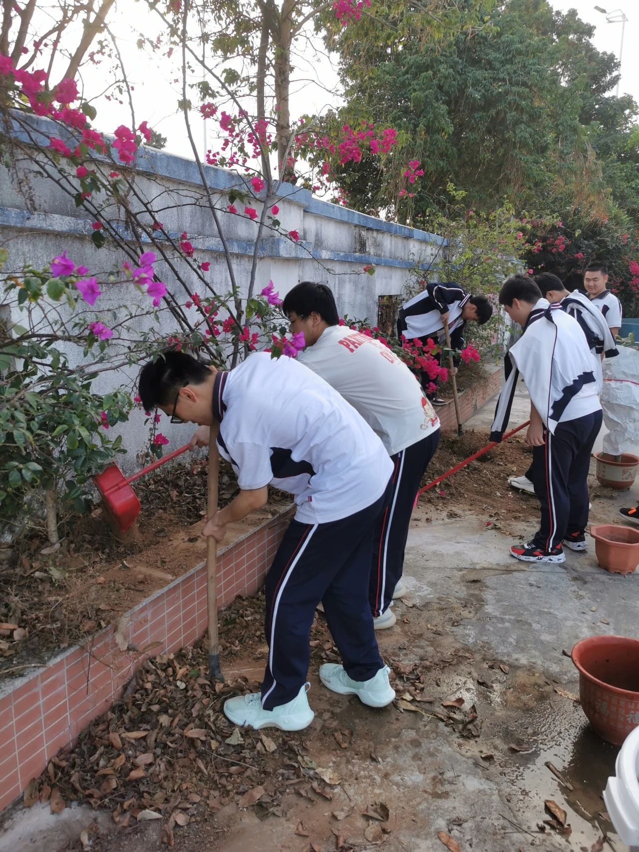 培养生态意识，传承绿色文化‖珠海新盈学校植树活动
