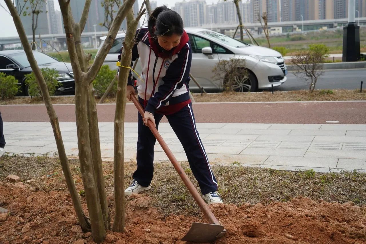 培养生态意识，传承绿色文化‖珠海新盈学校植树活动