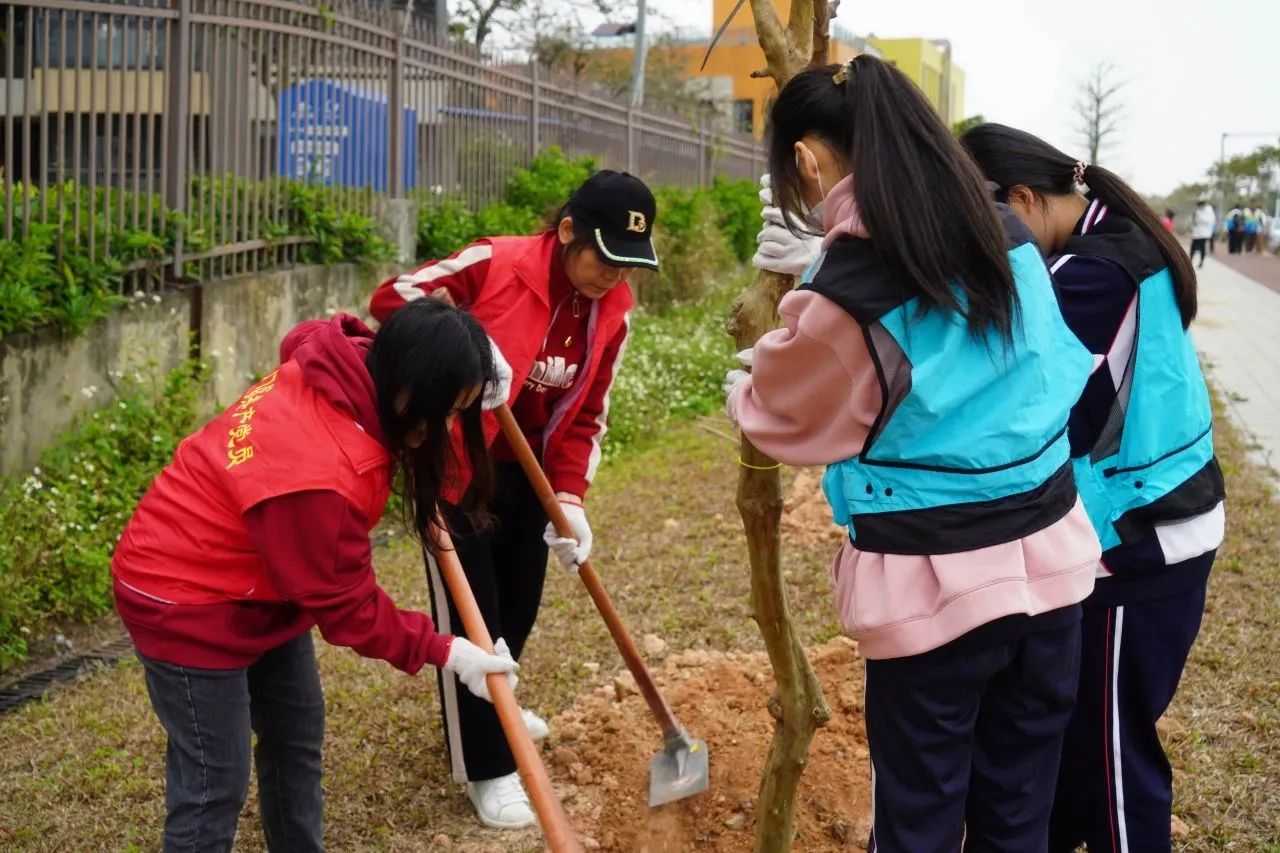 培养生态意识，传承绿色文化‖珠海新盈学校植树活动