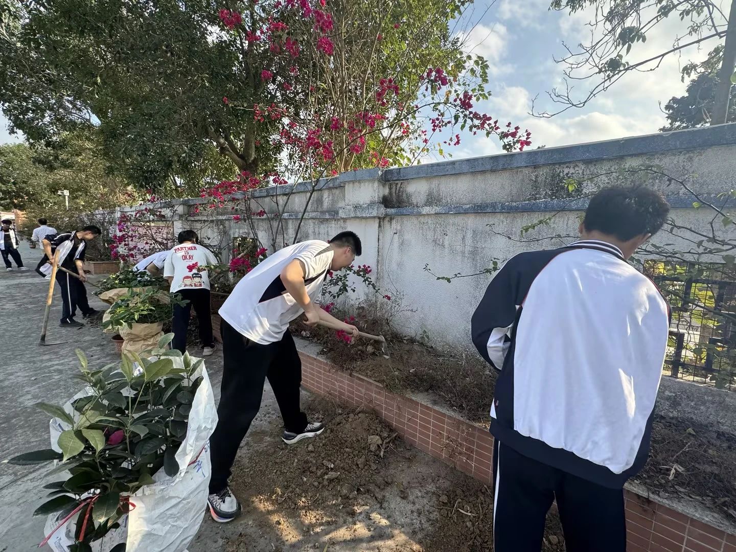 培养生态意识，传承绿色文化‖珠海新盈学校植树活动