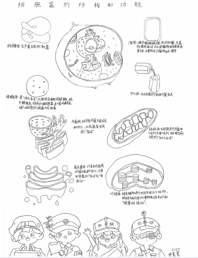 促进学生全面发展 | 新盈学校第一届生物绘图大赛圆满结束